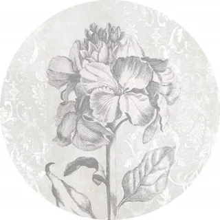 KOMAR Vlies Fototapete Barock Beauty Ø 125 cm selbstklebend