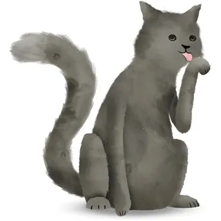 KOMAR Wandbild Cute Cat 40 x 50 cm