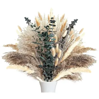 Hitopin 63 Stück Flauschiges Schilfgras Getrock, Getrocknet Natürliche Trockenblumen, Natürliche Trockenblumen, Getrocknete Pampasgrasdekoration, für Boho-Hochzeits- und Heimdekorationen