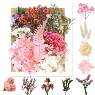 AMFUN Natürliche getrocknte Blumen, Trockenblumen Zum Basteln, Getrocknete Blumen, Trockenblumen für Kunst DIY Harz Scrapbooking Handwerk Karten Machen
