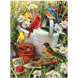 Pracht Creatives Hobby Royal & Langnickel - Malen nach Zahlen Junior Vögel, enthält Farben und Pinsel, für Erwachsene und Kinder ab 8 Jahren