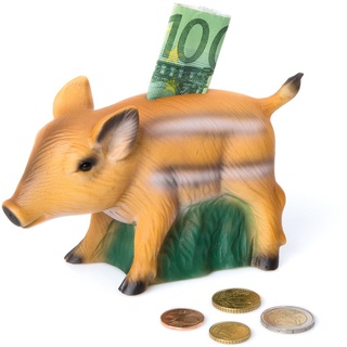 Frischling - Sparschwein/Ferkel/Spardose/Piggy Bank - für Geldgeschenke zur Hochzeit, Taufe, Konfirmation (72.0)