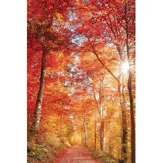 Leinwandbild BÖNNINGHOFF, rot (farbe bild(er): rot, orange, gelb), B:90cm H:60cm T:1,8cm, Canvas, MDF, Bilder, Leinwandbild