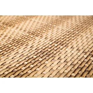 Sellon24 PE-Rattan Balkonverkleidung Balkonbespannung Sichtschutz Windschutz Matte für Balkon Terrasse Garten (17,99€/m2) (RD08 Stroh, 100)