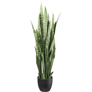 Creativ green Künstliche Zimmerpflanze »Sanseveria« mit detailgetreuen Blättern, grün