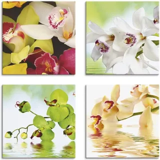 ARTland Orchideen Blumen Blumen, (4 St.), 4er Set, verschiedene Größen, bunt