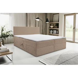 VENASI TILLY Boxspringbett 160x200 mit 2 Bettkästen H2/H3 Matratze BRAUN CORD TILIA - Braun