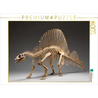 CALVENDO Puzzle Dinosaurier Spinosaurus-Skelett mit langem Kiefer und Rückensegel | 1000 Teile Lege-Größe 64x48cm Foto-Puzzle für glückliche Stunden