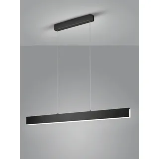 helestra NEX Pendelleuchte mattschwarz #16/2007.22