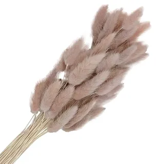 FUYTSUO 50 Stück Trockenblumen Klein Pampasgras, 43 cm Hasenschwanzgras Getrocknet Pampasgras Deko, Pampas Gras Trockenblumen Klein Pampas Gras für Deko Wohnzimmer Hochzeit (Grau)