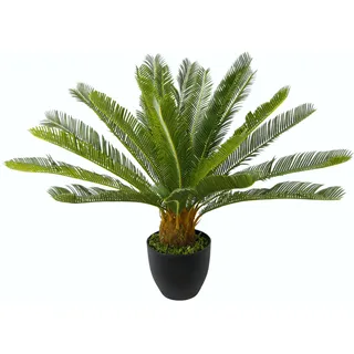 I.GE.A. Cycaspalme im Topf