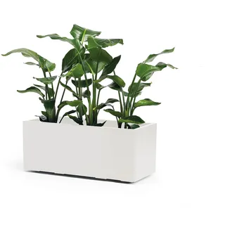 Pflanzkasten Blumenkasten Blumenpflanzen Blumentopf GREENER KEBE 100 cm weiß