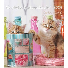 Niedliche Katzenkinder 2024 - Wand-Kalender - Tier-Kalender - 30x34: Cute Cats