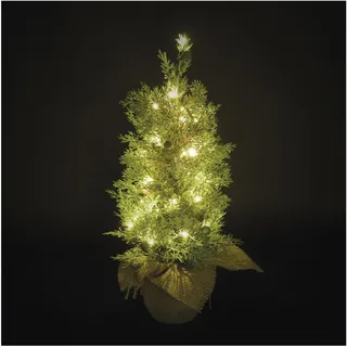 EMOS - Künstlicher LED-Zypressebaum 50 cm - Zypresse im Topf, 30 LEDs, warmweiß - 6/18h Timer, Batteriebetrieb (3X AA), Kabellänge 0,15 m, inkl. Jutesack - 10000 h, für Innen und Außen - grün