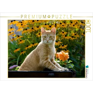 CALVENDO Puzzle Neugierige rot getigerter Katze in einem blühenden Garten 1000 Teile Puzzle quer | Lege-Größe cm Foto-Puzzle für glückliche Stunden