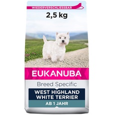 Bild von West Highland White Terrier 2,5 kg