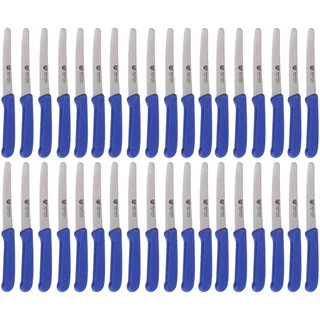 GRÄWE Tafelmesser 36 Stück, Messerset zum Schneiden, 36er Pack Brötchenmesser, Frühstücksmesser mit einseitigem Wellenschliff, Brotmesser, scharfe Messer für Brotzeit, 21 cm - Blau