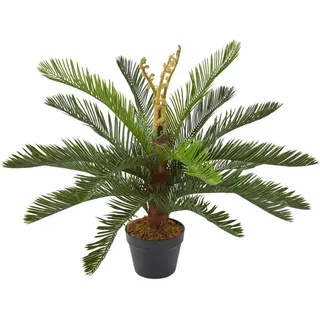 Homescapes Kunstpflanze Palmfarn grün, 75 cm