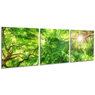 artissimo Glasbilder 3 teilig je 50x50 cm Wald Baumkronen AG5287A – Glasbild Set modern, mehrteilig, XXL Wandbilder, Wanddeko Bild grün natur
