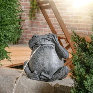 esotec Wasserspeier mit Solarpumpe FROSCH Teichfigur Gartenfigur H=30cm 101666 - Grau