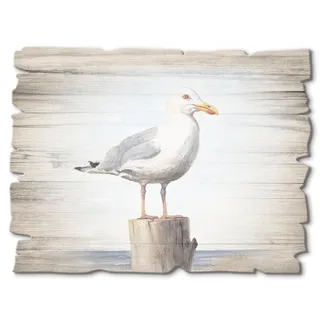Artland Holzbild "Möwe" Vögel 1 Stk. tlg., farbe bild(er): weiß