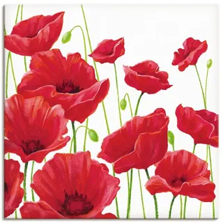 A. S.: Rote Mohnblumen, Produkt:Leinwand, Größe (HxB):40x40 cm / Leinwand - Rot