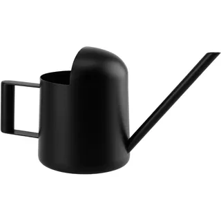 CHUEHKAK Gießkanne Klein 300ml, Edelstahl, Mini Gießkanne Schwarz, mit langem Hals,Metallgießkanne für Zimmerpflanzen, Topfpflanzen und Hängepflanzen