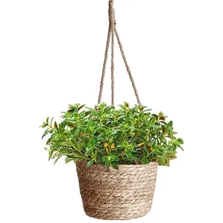 Blumentöpfe Hängende Seegras Pflanzentopf Hängender Pflanzerkorb(Seegras C) | Handgewebt Blumenampel Pflanzenaufhänger mit Hängendem Seil für Sukkulenten, Kakteen, Kräuter im Innen- und Außenbereich