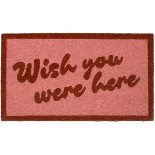 FISURA – Fußmatte “Wish You” aus Kokosnuss mit Rutschfester PVC-Basis. Handbemalte Innenmatte in Rosa. Türmatte mit lustigem Spruch. Maßnahmen 70 cm x 40 cm.