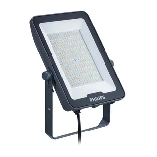 Philips Außenstrahler Kunststoff 244,0 cm inkl. Bewegungsmelder schwarz/weiß