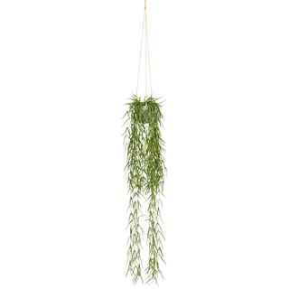 Creativ green Kunstranke »Tillandsia aeranthos im Hängetopf« im Hängetopf aus Kunststoff, grün