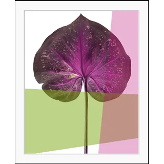 queence Bild »Elsa« Abstrakt   Blätter   Figuren   Kunst   Pflanzen   Pflanzenbilder HD Premium Poster-Druck inkl. Holzrahmen, schwarz