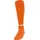 orange 43-46