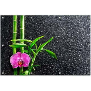 Wallario Outdoor-Poster für Garten oder Balkon, Motiv Bambus und pinke Orchidee auf schwarzem Glas mit Regentropfen, in ca. 80 x 120 cm - Grün
