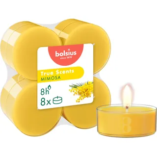 Bolsius True Scents – 8 Teelichter Maxi Duft – Mimosa – Lange Brenndauer von 8 Stunden – Kerze für den Innenbereich – Natürliche Extrakte – Veganes Wachs – Ohne Palmöl