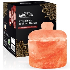 SalNatural Salztopf aus Kristallsalz mit Salzdeckel I Salzdose mit Deckel für Ihre passende Gewürze & Salz I Aufbewahrung Salzfass mit Deckel, aus dem Vorgebirge des Himalaya, Salt Range Pakistan