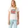Levi s Damen The Perfect Tee T-Shirt Horse Poster Sugar Swizzle S