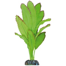 ICA AP1110 Seidenpflanze Echinodorus Spidemet