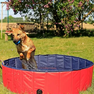 LIONTO Hundepool faltbar aus kratzfestem PVC-Material, Ø 80 cm, Höhe 20 cm, Anti-Rutsch-Belag & Abflussstopfen für schnelle Entleerung, Keine Pumpe benötigt, robuster Kinderpool, blau/rot