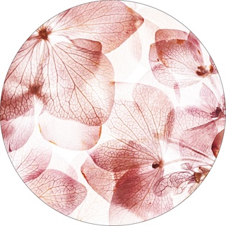 Pro-Art Glasbild Transparent leaves II, rund 50 cm