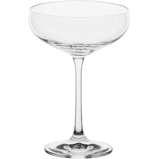 LA PORCELLANA BIANCA - Novello Collection Cocktailbecher aus Glas, 290 ml
