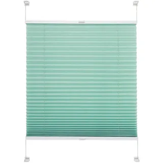 Liedeco Plissee »Pastell«, Lichtschutz, ohne Bohren, verspannt, Klemmfix-Plissee, Pastell Liedeco grün 220 cm