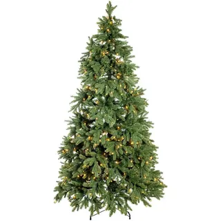 Evergreen Weihnachtsbaum Roswell Kiefer 210 cm,