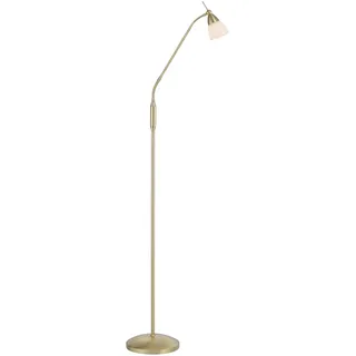 Paul Neuhaus Pino 111 cm x 163 cm 111 cm x 163 cm gold