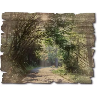 ARTland Artland, Sonniger Wald Landschaftsbilder, (1 St.), grün