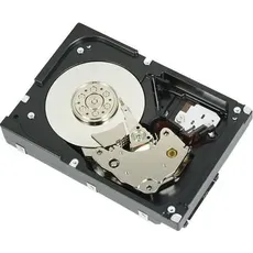 Dell T871K (0.30 TB), Festplatte