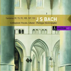 Musik Kantaten BWV 39/73/93/105/+ / Herreweghe,Philippe, (2 CD)