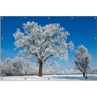 Wallario Outdoor-Poster für Garten oder Balkon, Motiv Schneebedeckter Baum mit blauen Himmel, in ca. 120 x 180 cm - Blau