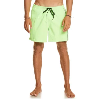 Quiksilver Everyday Vert 16" - Schwimmshorts für Männer Grün