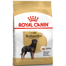 Bild Rottweiler Adult 12 kg